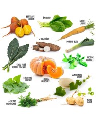 Coffret 12 sachets légumes insolites