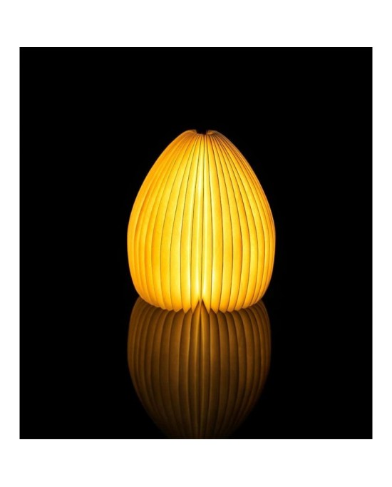 Smart vase light