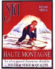 Plaque métal ski