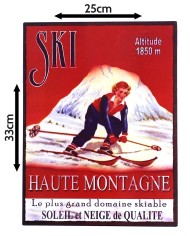 Plaque métal ski
